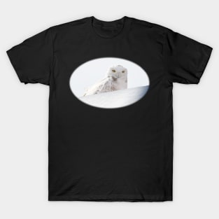 Winter’s Ghost T-Shirt